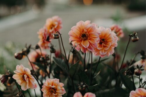 Laura OBrien